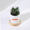 Shop Boss-some Haworthia Succulent With Personalized Planter