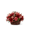 Bountiful Garden Online