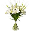 Bouquet Dashing Lilies Online