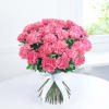 Bouquet of 25 Pink Carnations Online