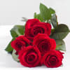Gift Bouquet of 5 Red Roses