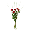 Bouquet of 5 red roses Online