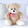 Buy Bouquet of Assorted Roses with Teddy Bear