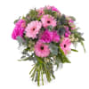 Bouquet of carnations and gerbera daisies Online