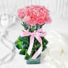 Gift Bouquet of Pink Carnations in Vase (20 stems)