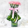 Bouquet of Pink Carnations in Vase (20 stems) Online