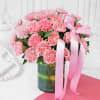 Gift Bouquet of Pink Carnations in Vase (25 stems)