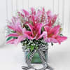 Bouquet of Pink Lilies in Square Vase (6 Stems) Online