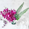Gift Bouquet of Purple Orchids in Glass vase (6 Stems)