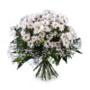 Bouquet of White Margaritte Daisies Online