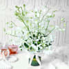 Gift Bouquet of White Orchids in Glass vase (10 Stems)