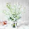 Bouquet of White Orchids in Glass vase (10 Stems) Online