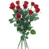 Shop Bouquet with 12 red roses