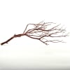 Branches (Bunch of 10) Online