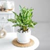 Shop Bright Beginning