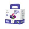 Bright Blooms Petunia Grow Kit Online