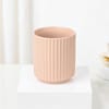 Shop Bright Dracaena Planter Gift