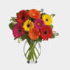 Brights Gerber Bouquet Online