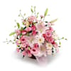 Brilliant arrangement Online