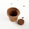 Buy Brown Round Coco Pot