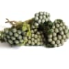 Brunia Albiflora Green (Bunch of 10) Online