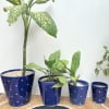 Gift Bucket Planter - Blue Dots - Set Of 4