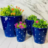 Buy Bucket Planter - Blue Dots - Set Of 4