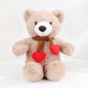 Buy Bunch of 10 Red Roses with Teddy Bear & Assorted Chocolates