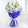 Gift Bunch of 10 White Lilies in Tissue