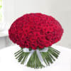 Bunch of 1000 Red Roses Online