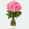 Bunch Of 20 Pink Fairtrade Roses With Vase Online