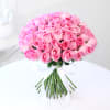 Bunch of 50 Pink Roses Online
