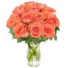 Bunch of Orange Roses Bliss (without vase) Online