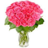 Bunch of Pink Roses Rosy Reveries (without vase) Online