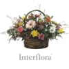 Burst of spring Online