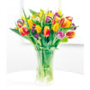 Card - Tulips Online