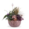Centrepiece of Mixed Plants Online
