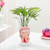 Gift Chamaedorea Plant With Beauty Planter
