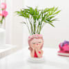 Chamaedorea Plant With Beauty Planter Online