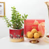 Charming And Delightful Ganesh Chaturthi Combo Online