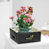 Buy Charming Mother's Day Kalanchoe Plant