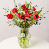 Charming Red Tulips And Wax Flower Christmas Arrangement Online