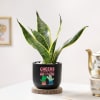 Gift Cheers For Growth - Snake Plant In Black Planter