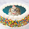 Buy Cherished Memories Personalized Photo Cake