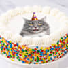 Shop Cherished Memories Personalized Photo Cake