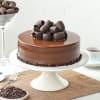 Choco Craze Fudge Cake (500 Gm) Online