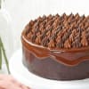 Shop Chocolate Truffle Cream Cake