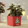 Buy Christmas Themed Personalized Red Planter Pot