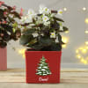 Christmas Themed Personalized Red Planter Pot Online