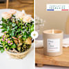 Coin de paradis et bougie - Paradise and candle Online